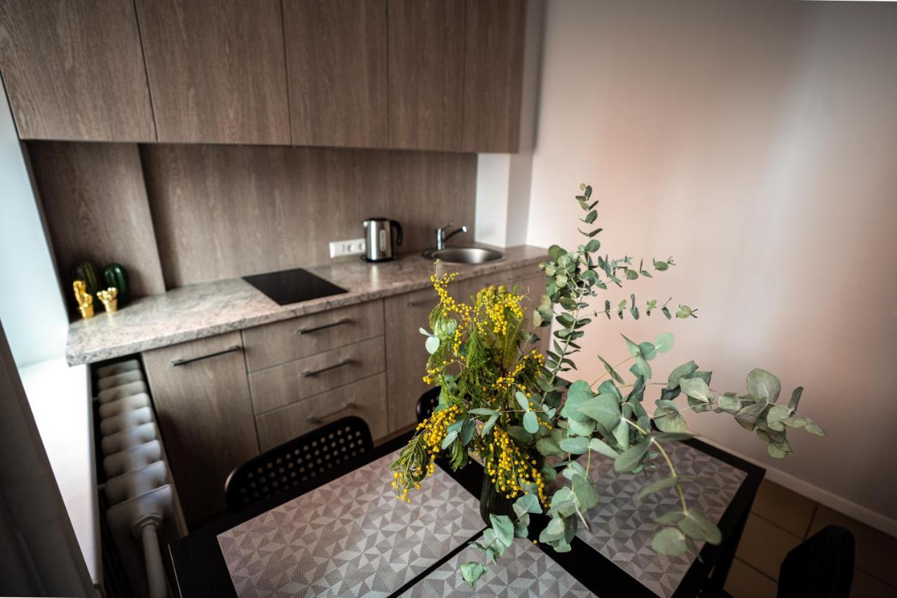 Lovely Apartment In The City Center Κάουνας Εξωτερικό φωτογραφία